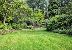 Optimiser l'expérience du jardin à Courgent
